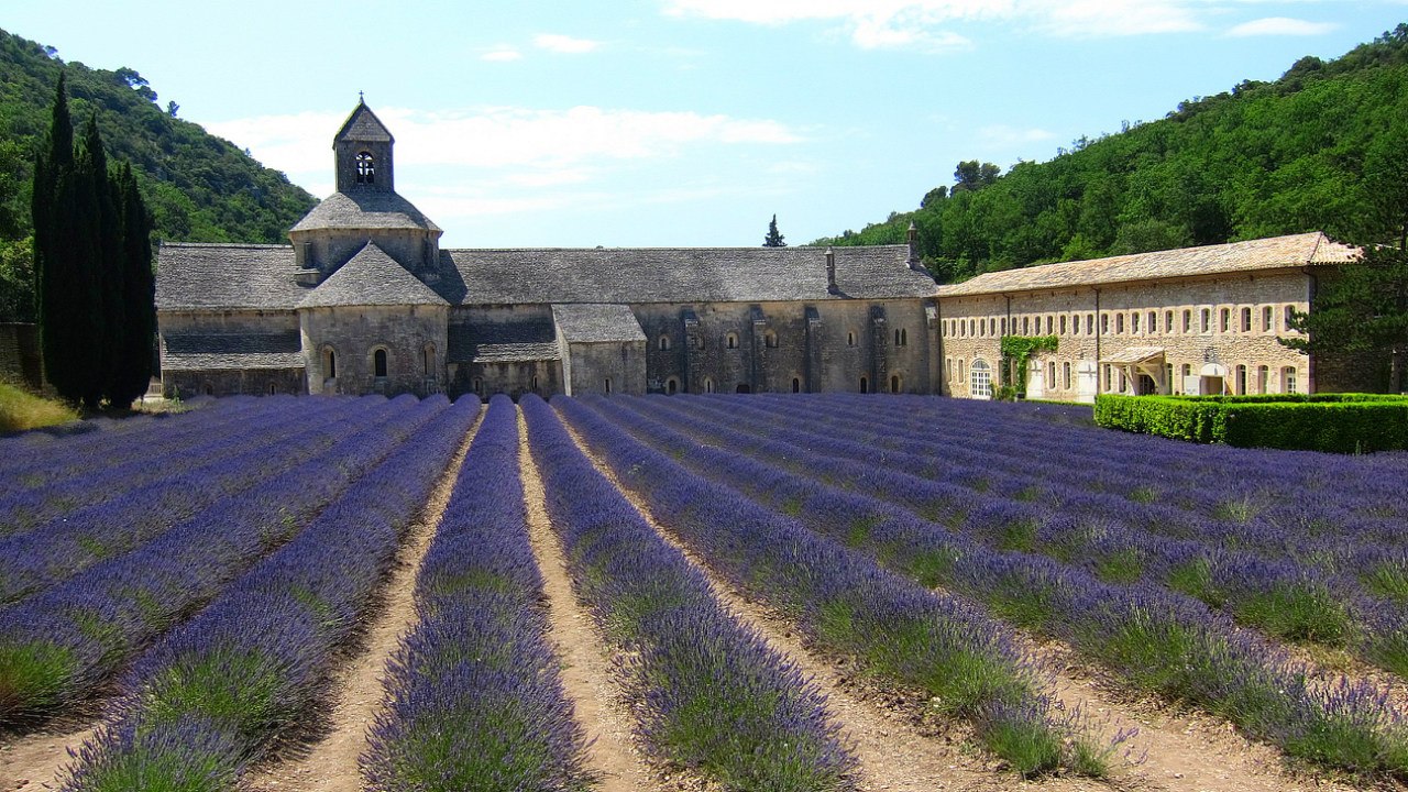 Abbaye de Senanque и его лавандовые поля