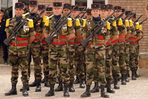 солдаты французской армии